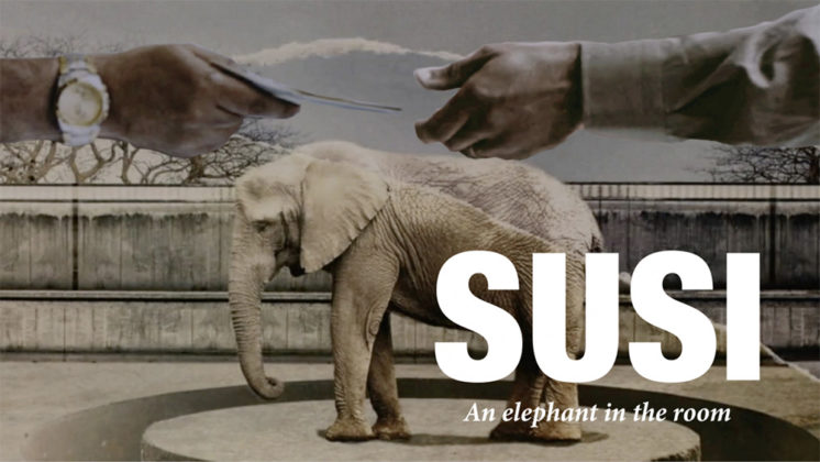 El movimiento animalista clama por la liberación de la elefanta Susi del zoo de Barcelona