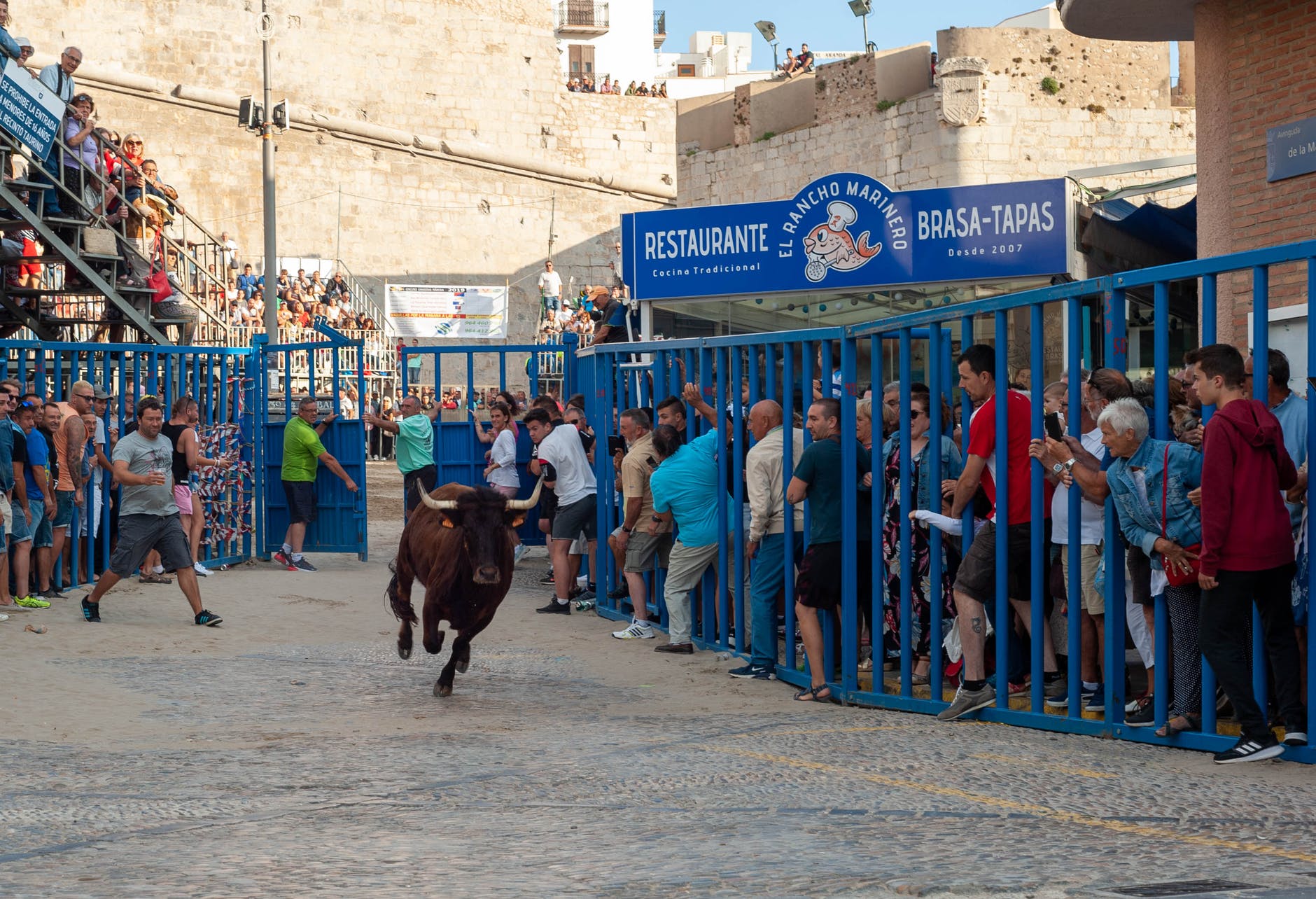 Más ayudas para la tauromaquia en Castilla y León