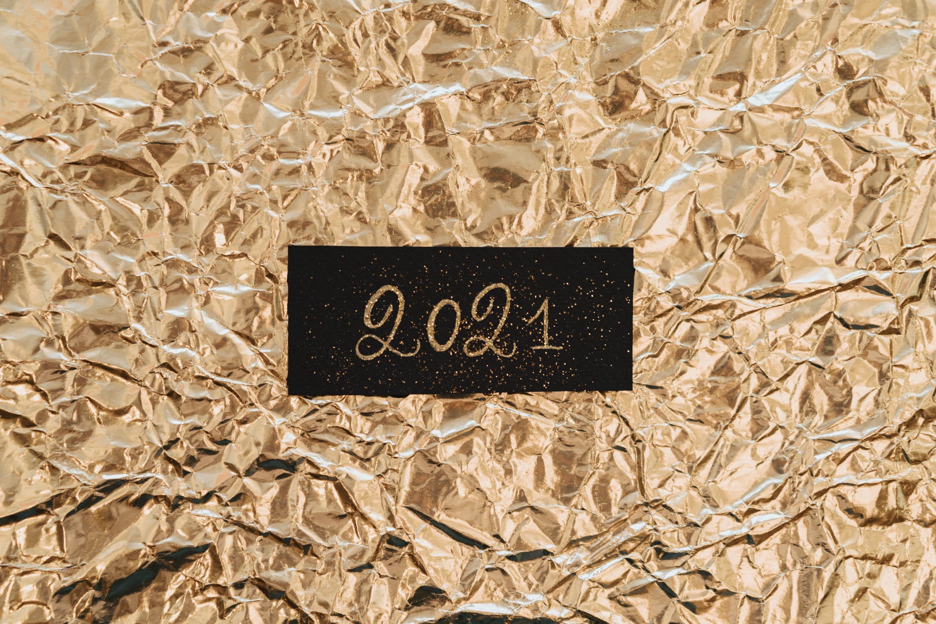 2021 termina con menos granjas de pieles y otros avances para los animales