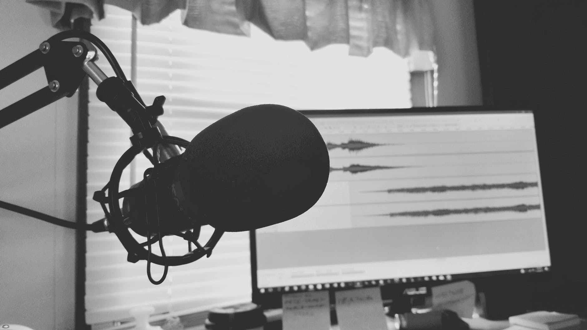 5 Podcasts veganos que no te puedes perder