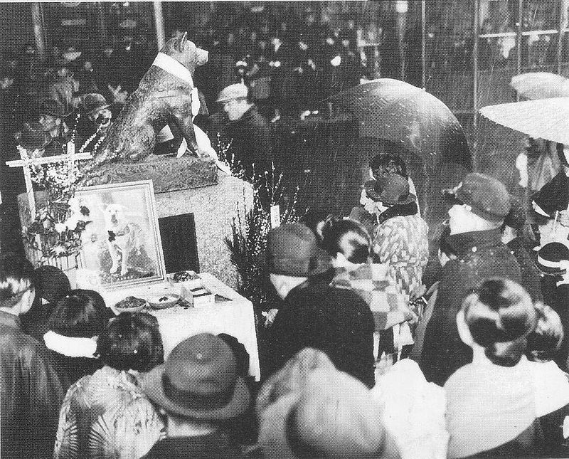 Historia: Hachiko, toda una vida esperando
