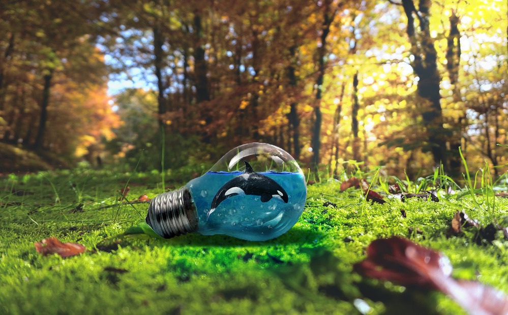 Lo más destacado de la semana: la explotación ya no pasa desapercibida