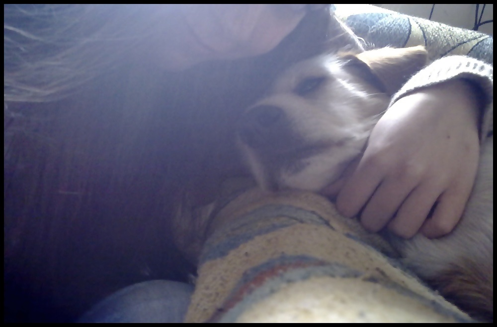 ¿Y si hubiera caído en manos de un cazador? 