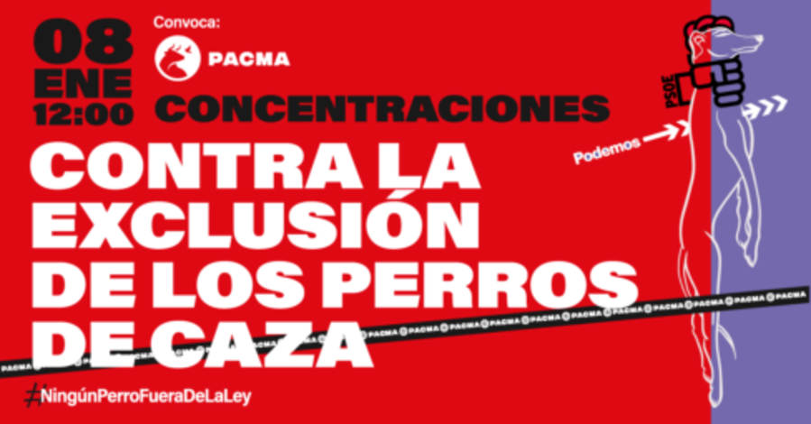 PACMA convoca concentraciones en todo el país contra la exclusión de los perros de caza de la Ley de Protección Animal