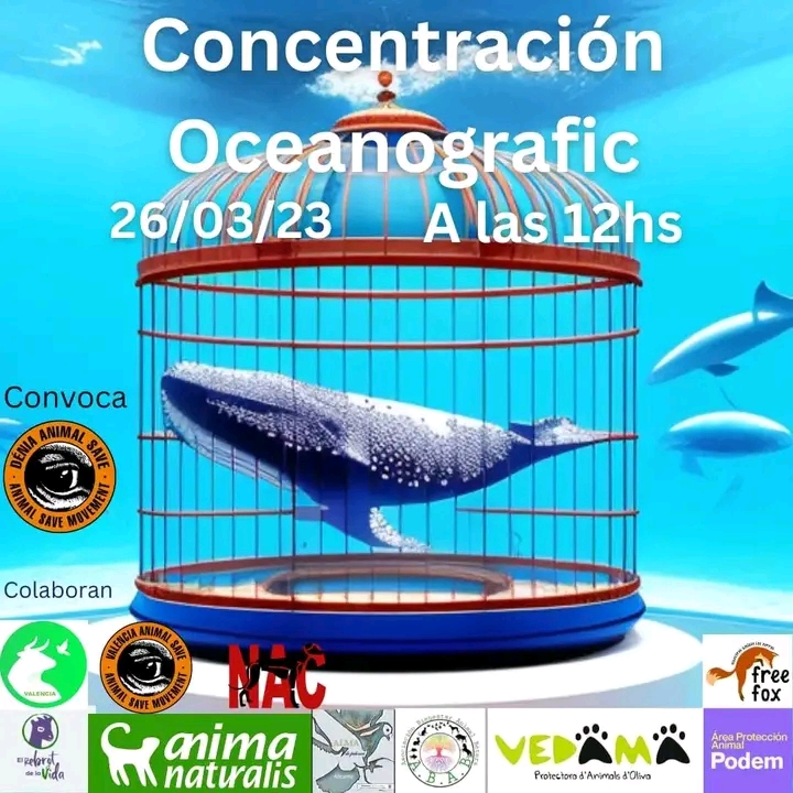 Activistas se concentrarán el domingo contra el cautiverio frente al Oceanográfico de Valencia