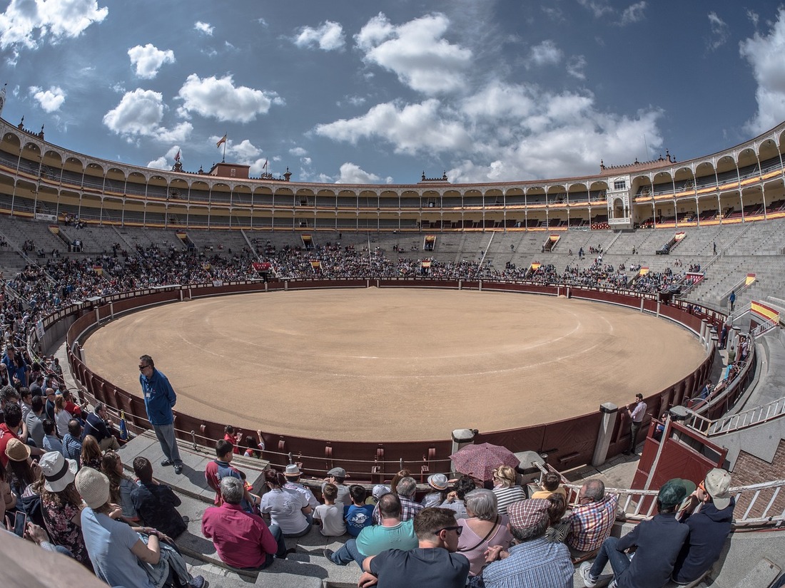 Por unas fiestas sin corridas de toros en San Isidro