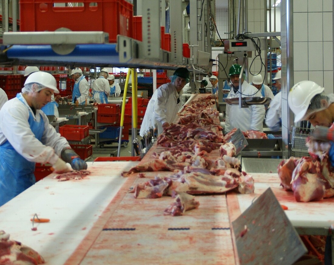 Producción de carne y derechos humanos