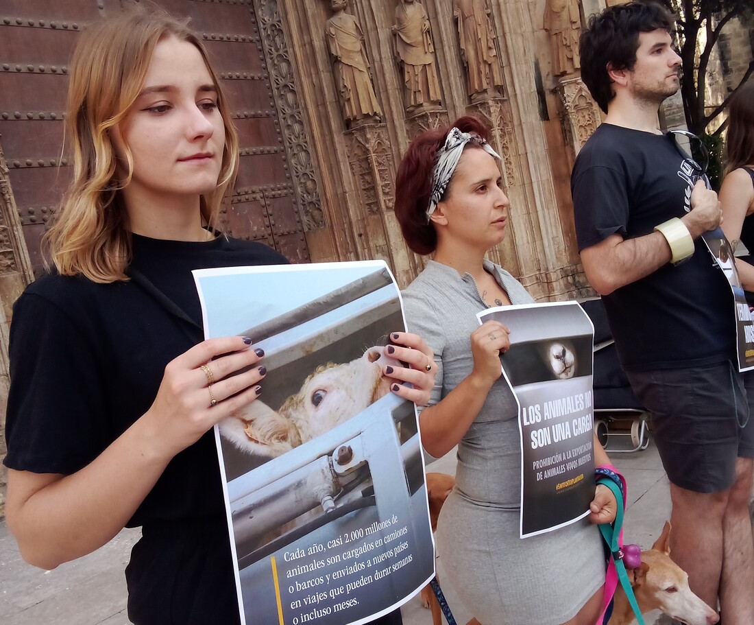 Línea silenciosa contra la exportación de animales vivos en Valencia