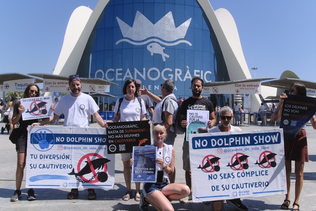 Activistas protestan en el Oceanogràfic contra el maltrato a los delfines