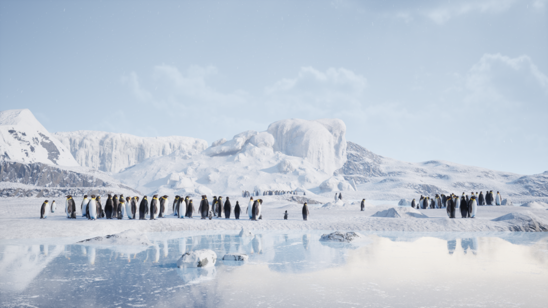 Pingüinos en el primer zoo virtual de Europa