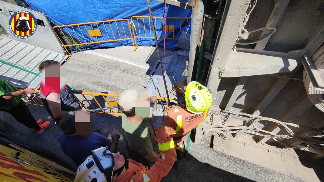 Varios toros escapan del camión que los llevaba al matadero
