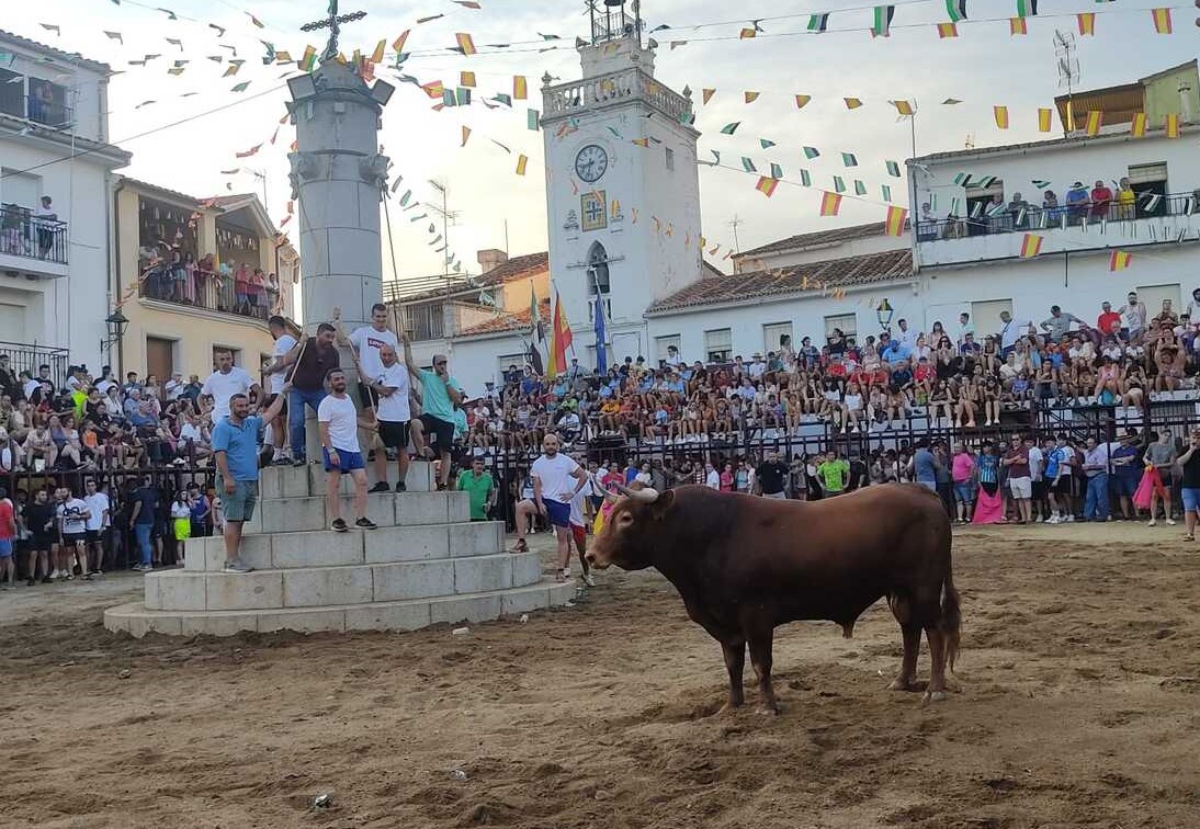 El apoyo institucional no devolverá la asistencia masiva a los espectáculos taurinos