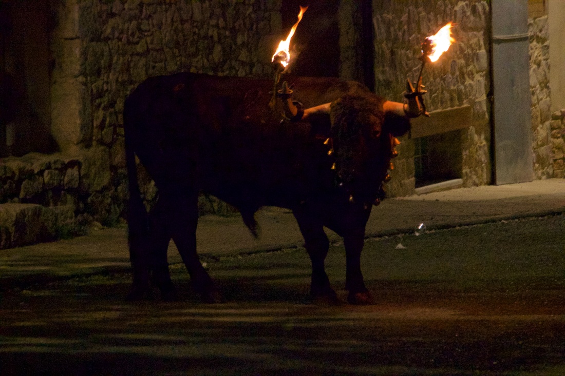 Un pueblo de Alicante pone fin a los toros embolados