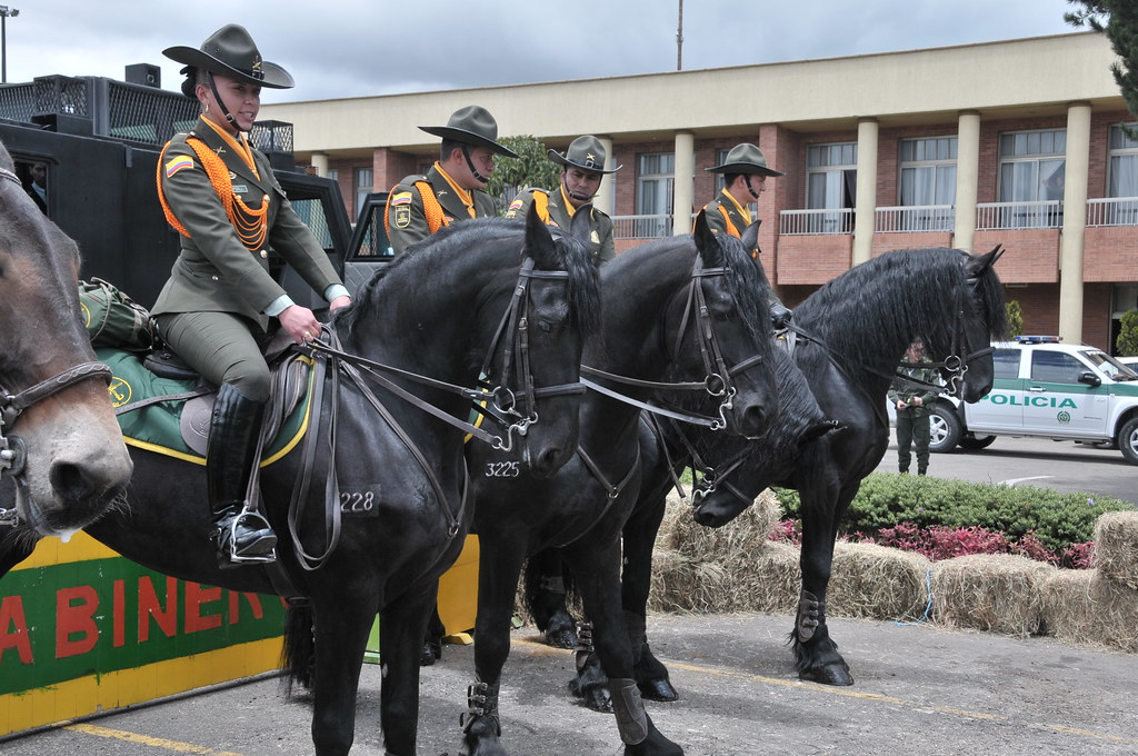 Colombia prohíbe el uso de animales en manifestaciones