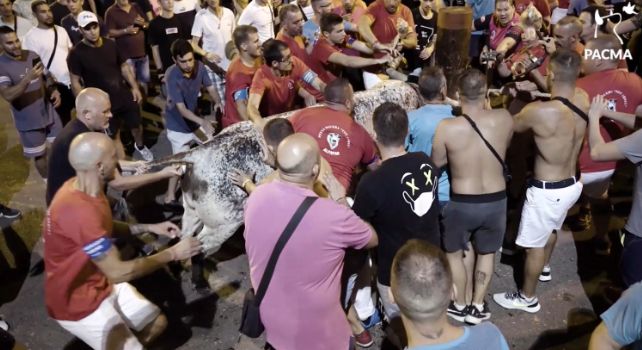 Nueva polémica en Alfafar por los festejos taurinos