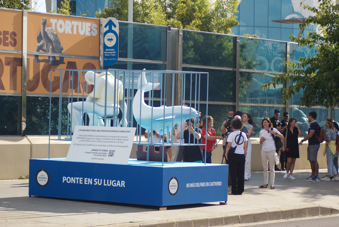 Falla en el Oceanográfico contra el cautiverio de delfines