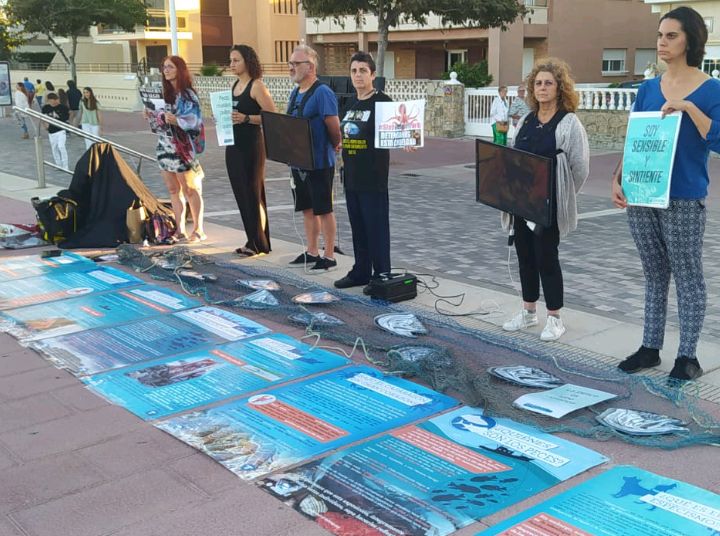 Activistas contra la pesca en Gandía