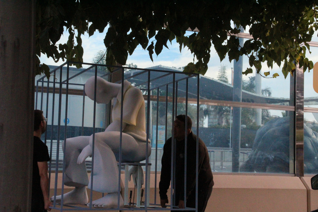 Falla de World Animal Protection contra el cautiverio de cetáceos