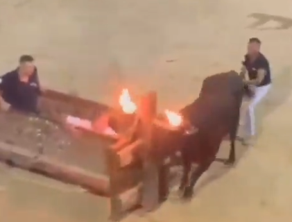 Un toro solloza angustiado en Benaguacil