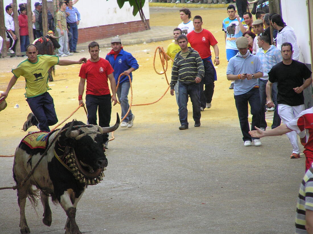 El dinero público que gastan los ayuntamientos en festejos taurinos