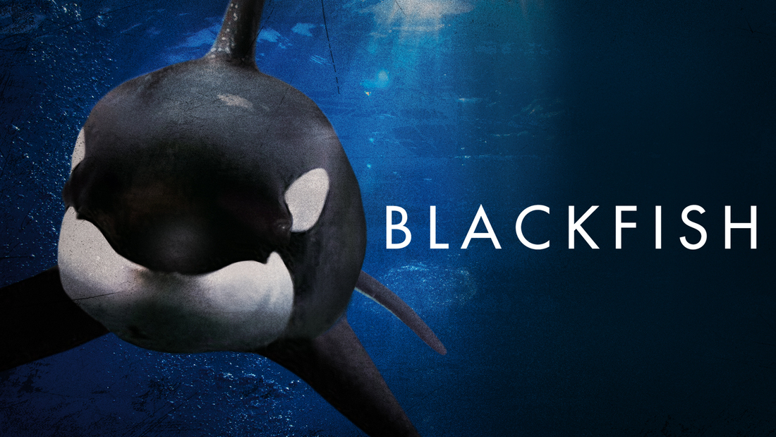Blackfish, documental sobre la orca Tilikum
