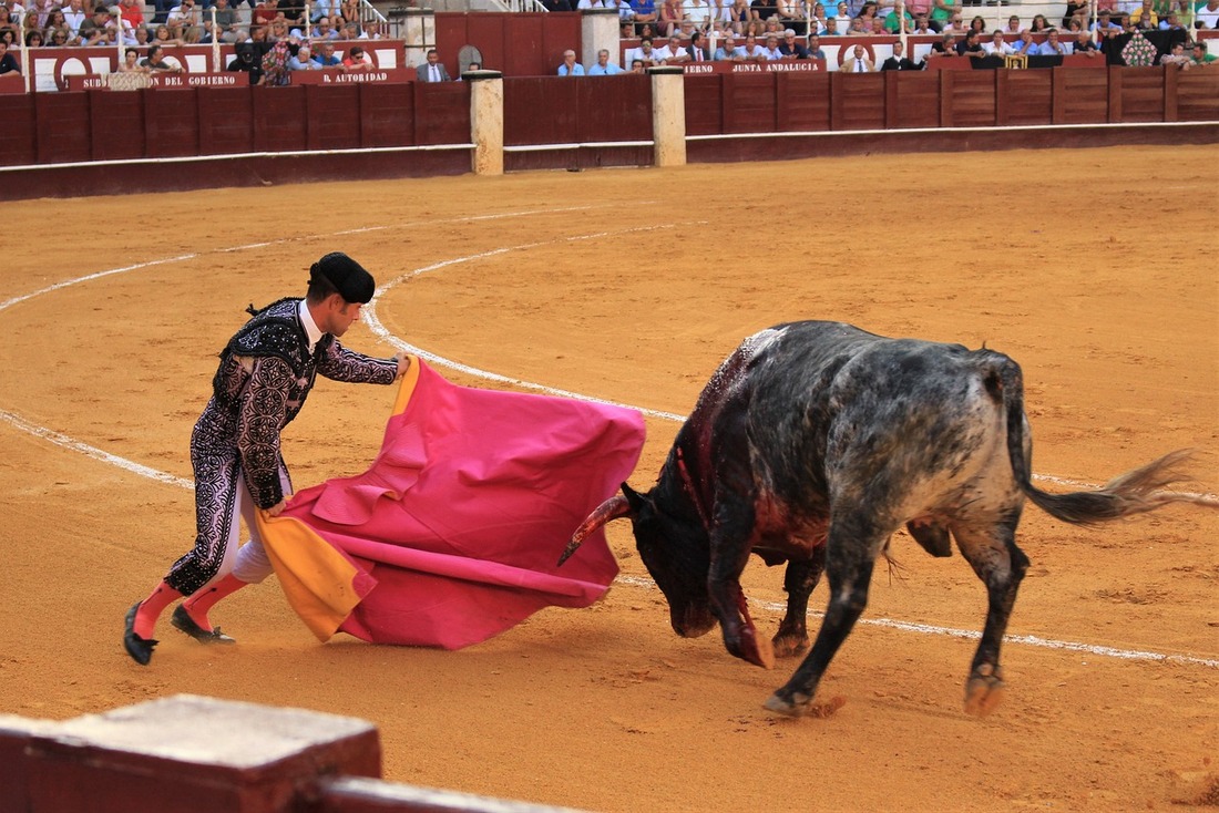 Zaragoza y Barcelona protestan contra las corridas de toros