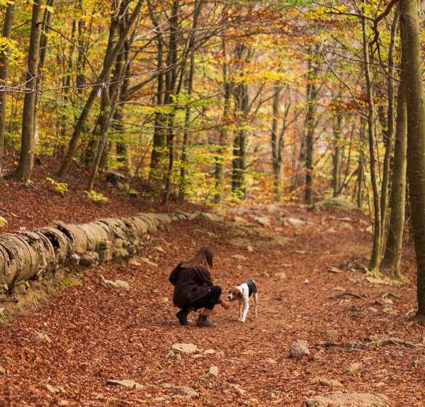 Los animales y sus familias, objeto del Código Civil catalán