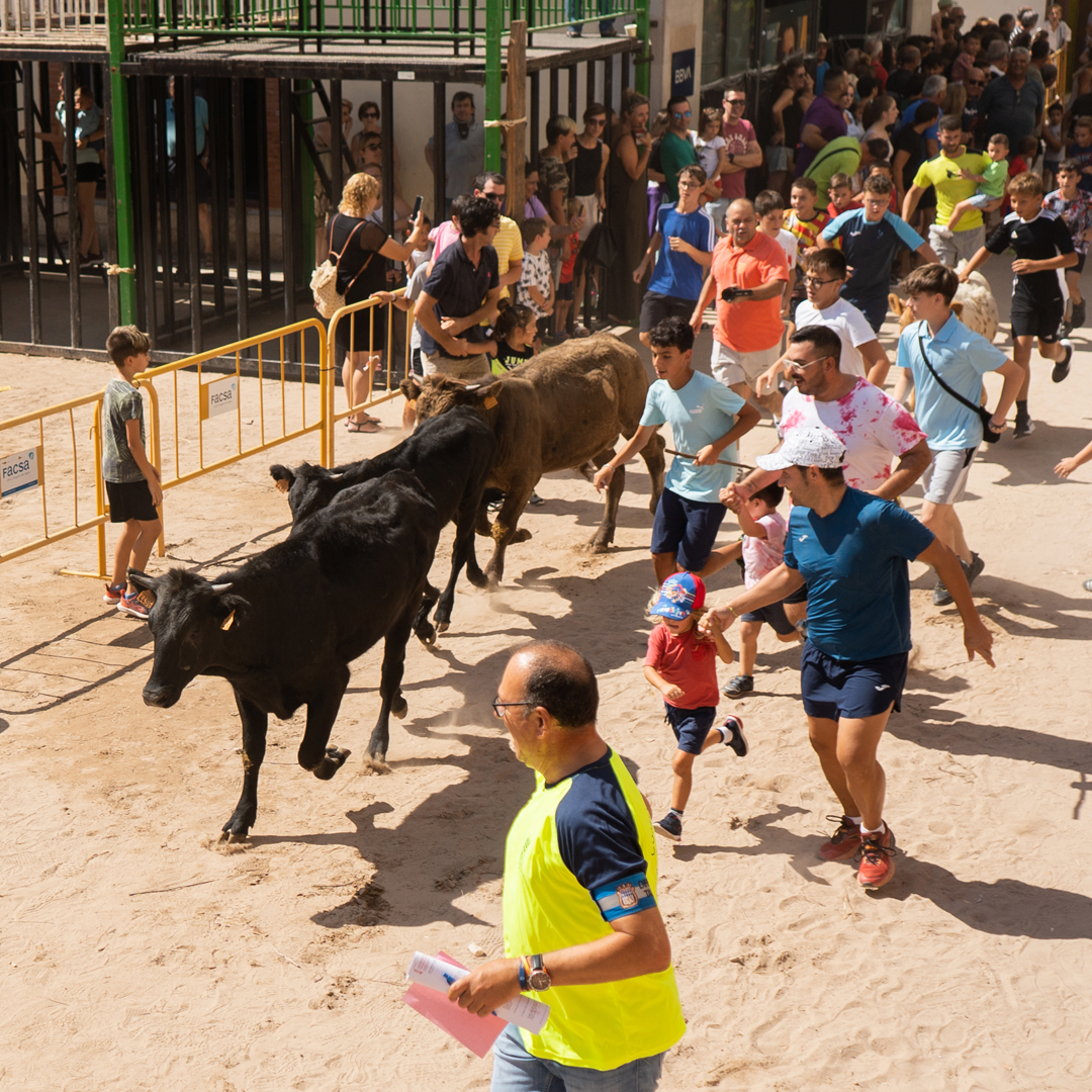 Piden la cancelación de un encierro infantil disfrazado de actividad ganadera en un pueblo de Castellón