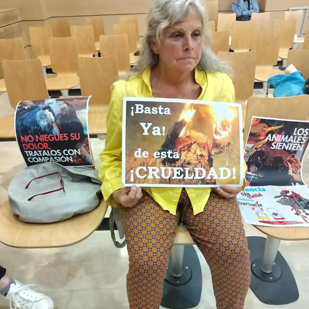 Pleno municipal en Alfafar