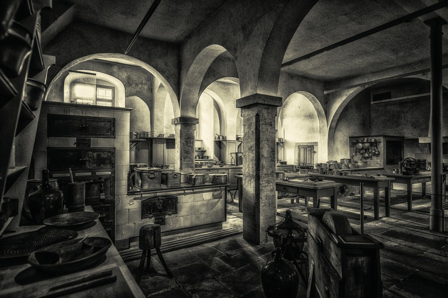 Historia: la cocina sin animales