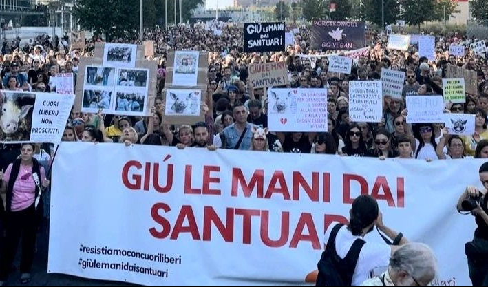 10000 personas recorren Milán en rechazo a la violencia ejercida contra el santuario Cuori Liberi