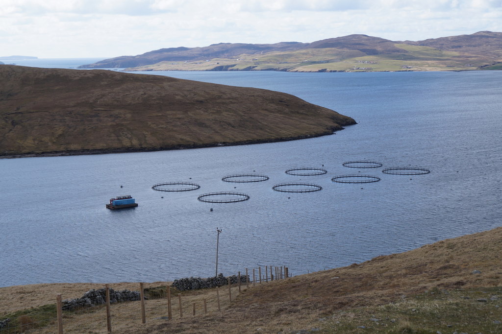 Salmonera en Escocia
