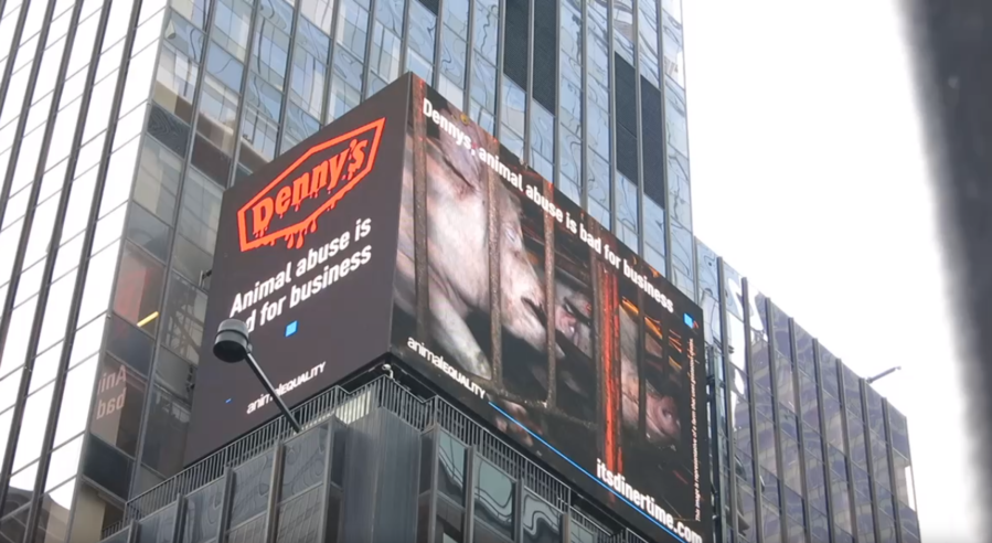 Un mensaje contra la crueldad de las granjas de cerdas se cuela en Times Square