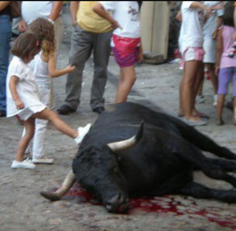 La Plataforma Antitaurina de Alfafar reivindica la protección del menor ante el maltrato animal en el Día Mundial de la Infancia