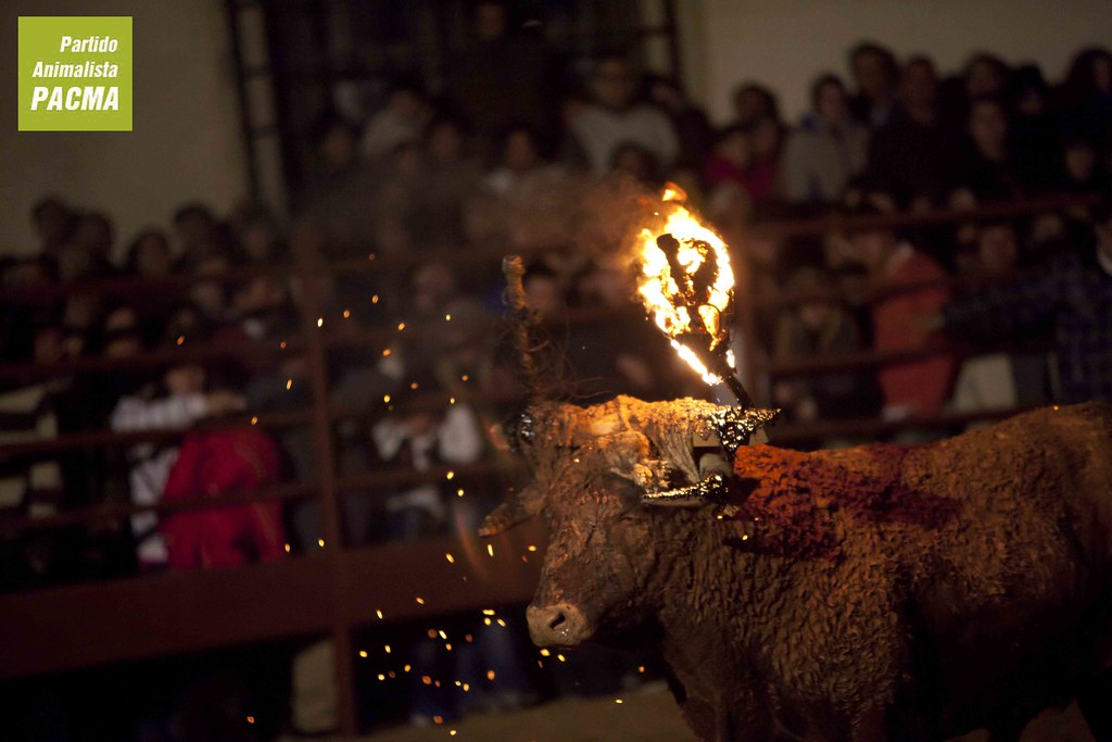Protesta contra el Toro Jublio en Soria