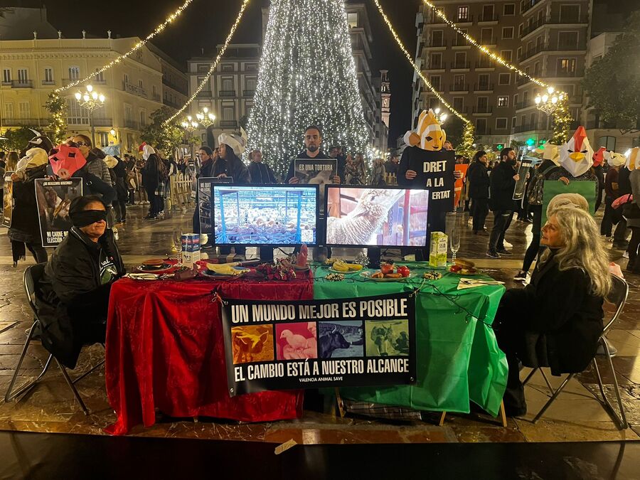 Acción por los Derechos de los Animales en Valencia