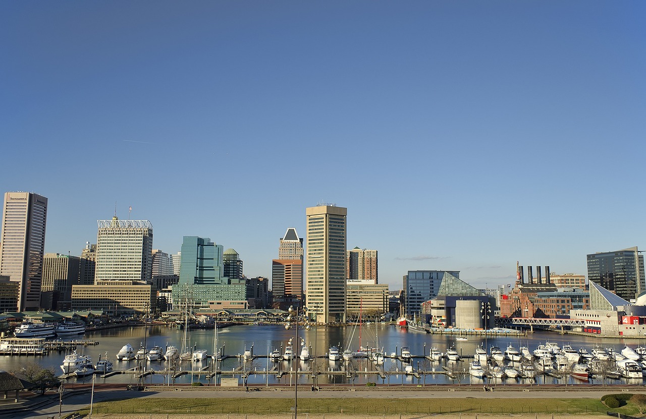 Veganuary en Baltimore