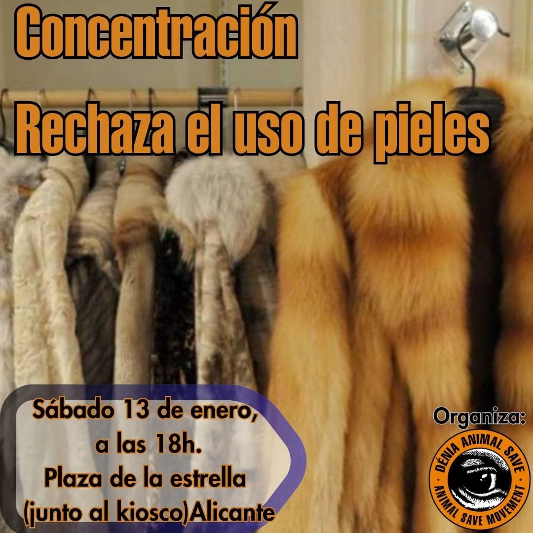 Concentración contra las pieles en Alicante
