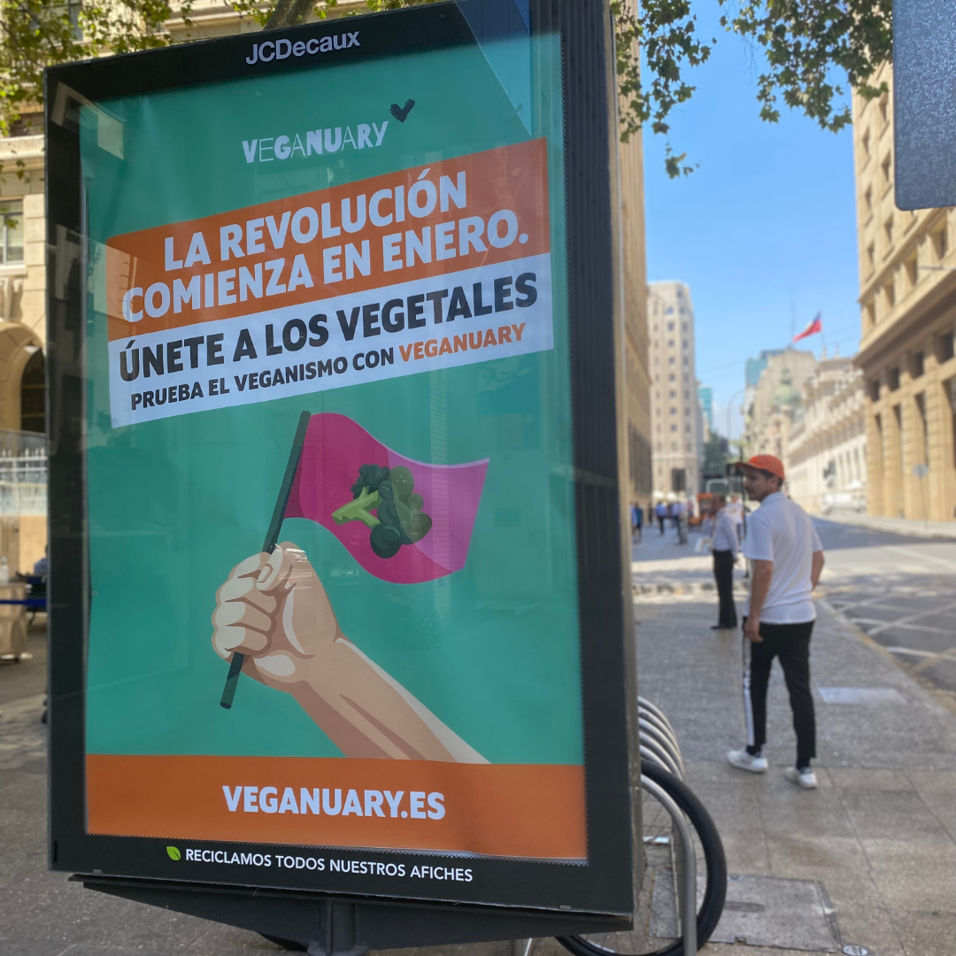 Veganuary se consolida en Chile con exitosos resultados