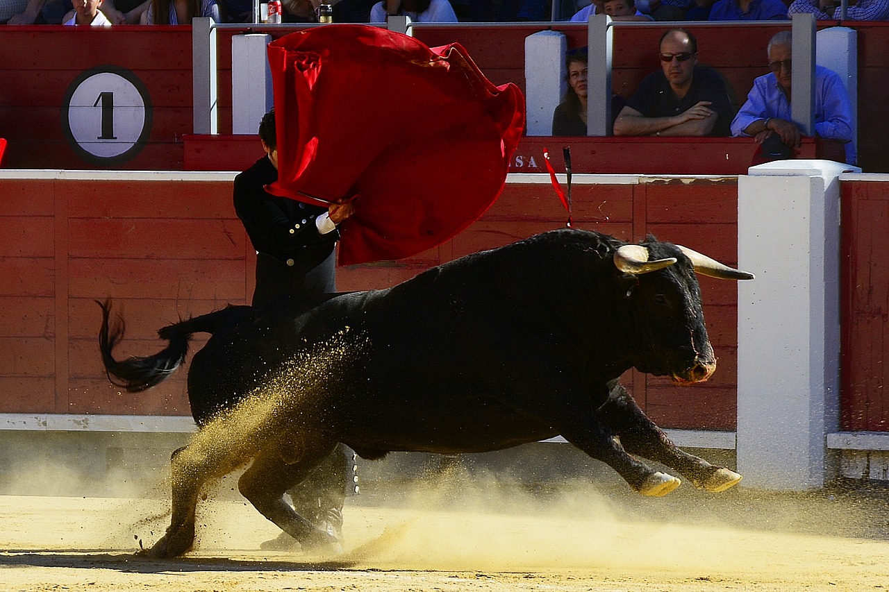 Admitida a trámite la propuesta para que la tauromaquia deje de estar blindada