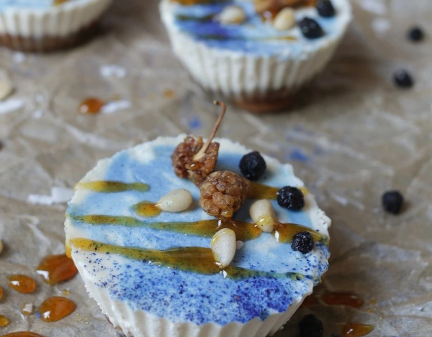 Empresas plant-based se unen en el mayor proyecto colaborativo del sector en España