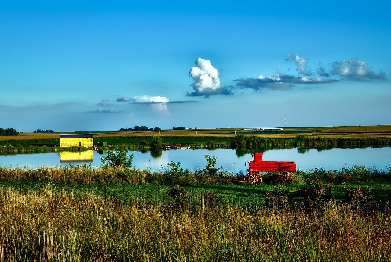 Contaminación del agua en Iowa por las granjas porcinas