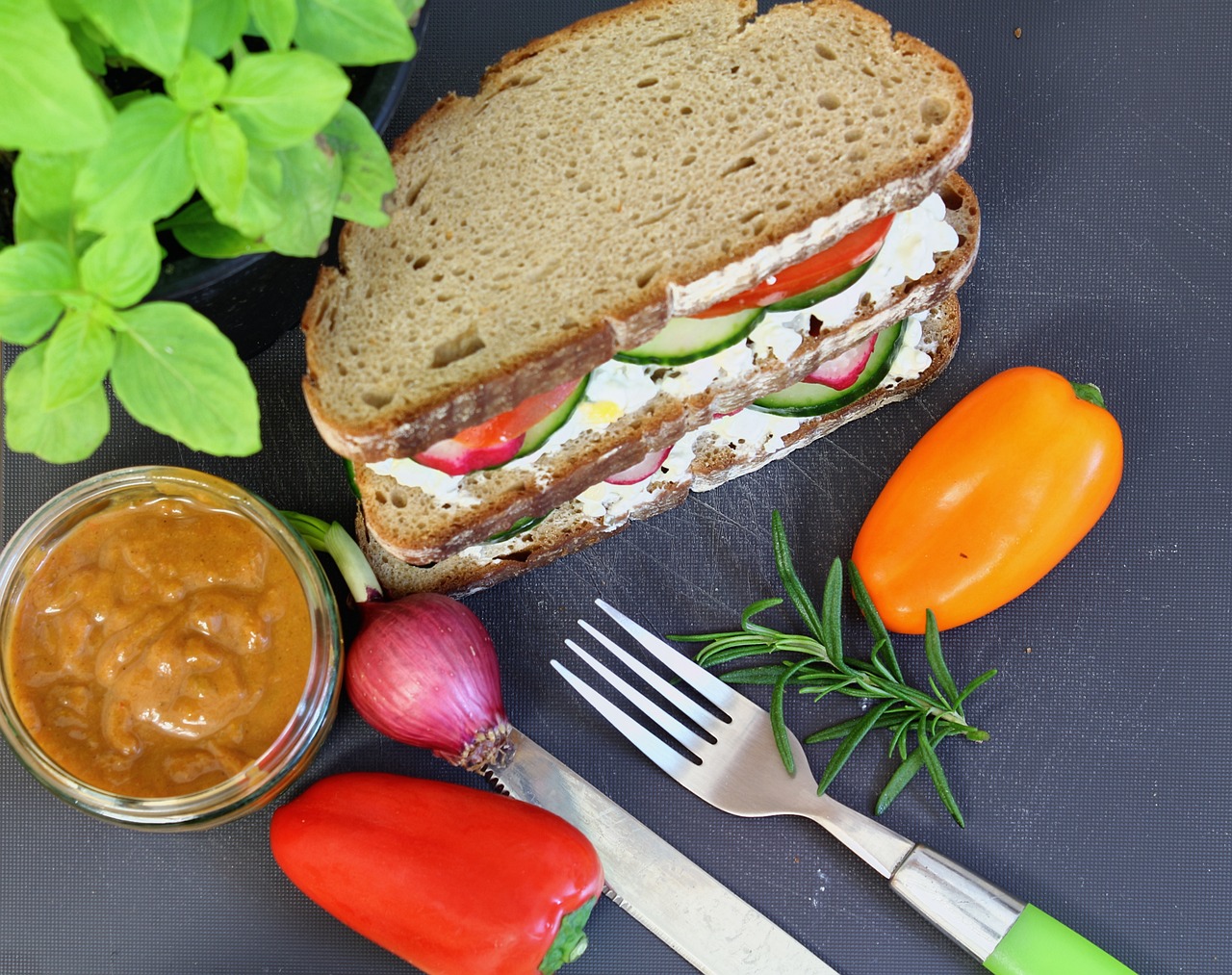 Sandwich vegetal
