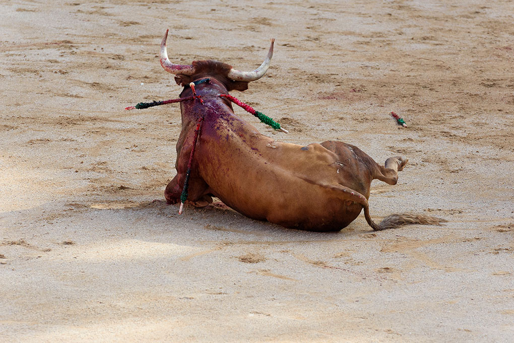 Corrida de toros en beneficio de los afectados por el incendio de Valencia