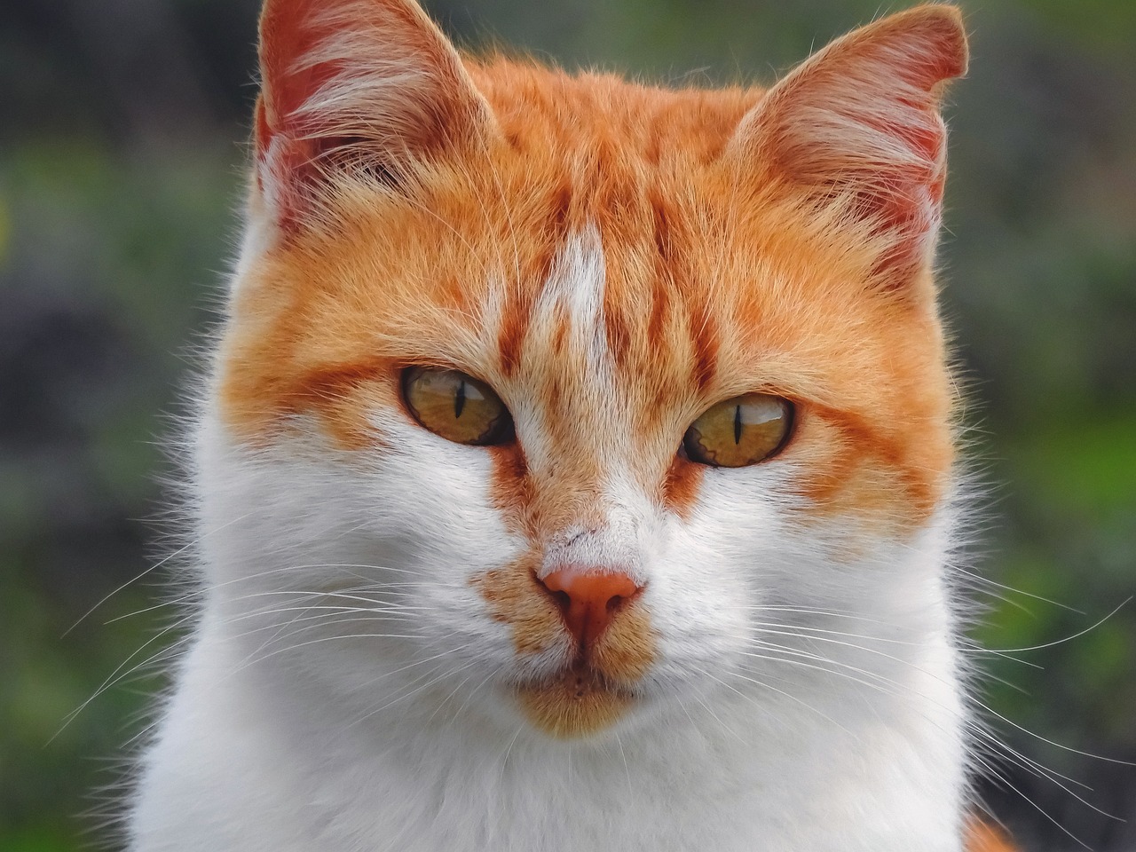 Método CER en Torremolinos