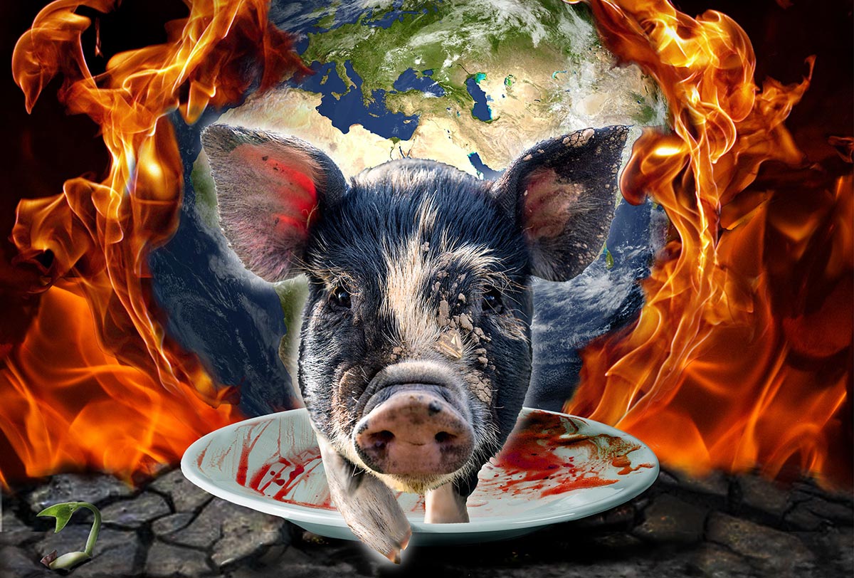 Documental I could never go vegan