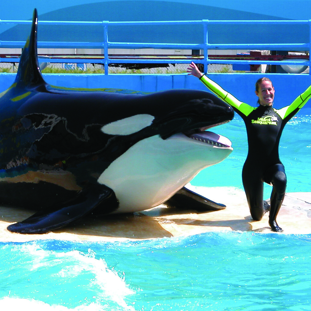 Ya es oficial: el Miami Seaquarium tendrá que cerrar sus puertas antes del 21 de abril