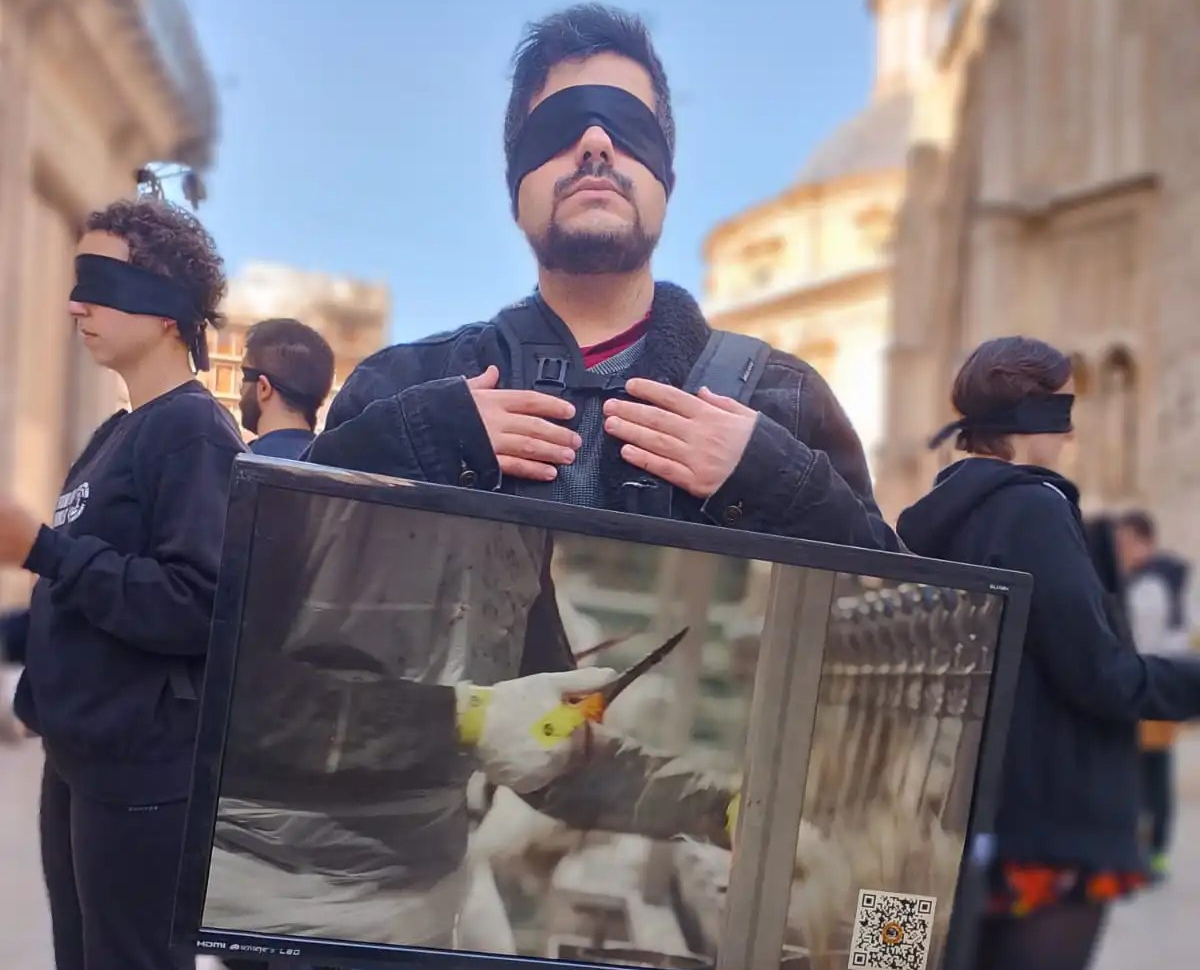 Activismo València Animal Save