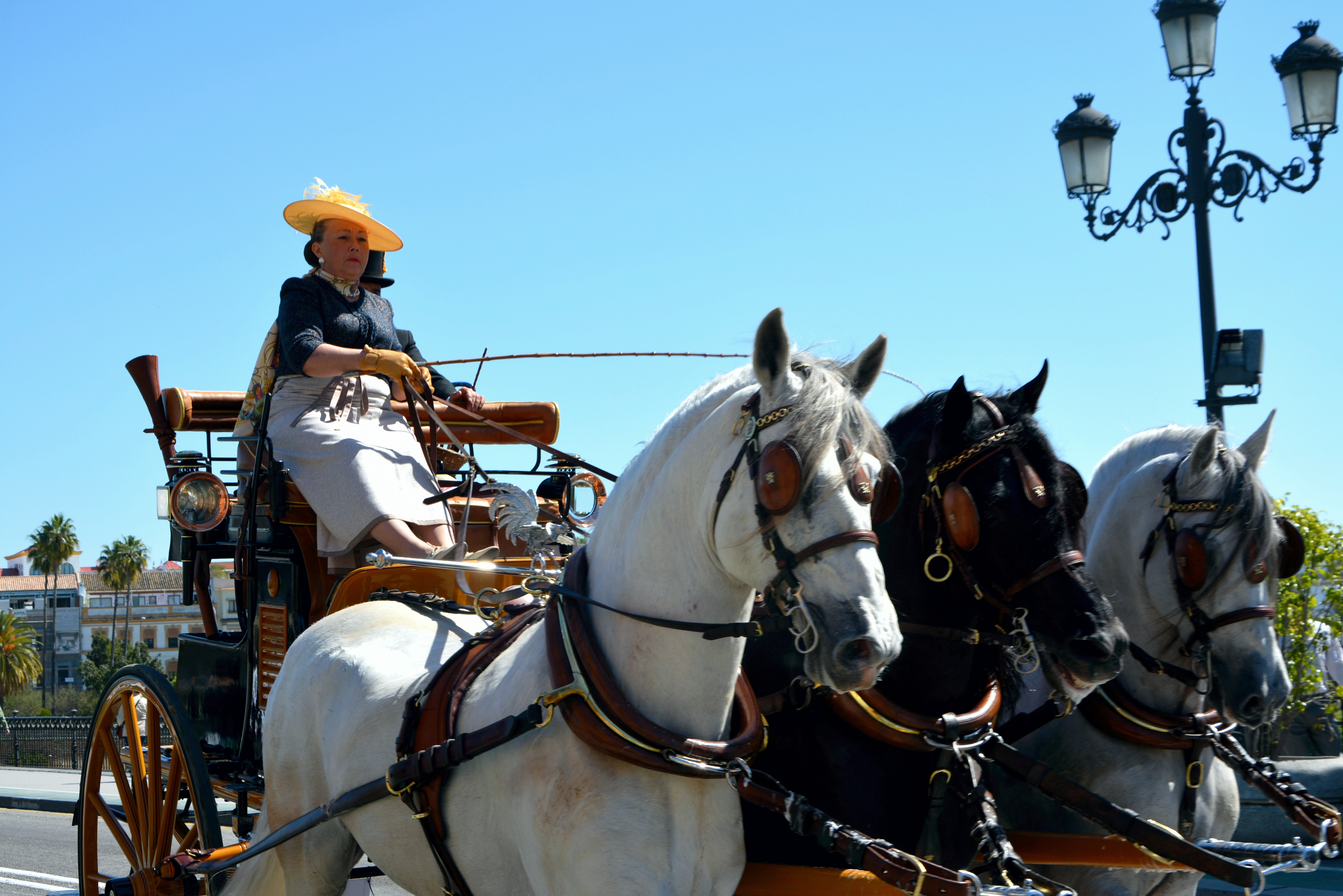 Muere una yegua en la Feria de Abril