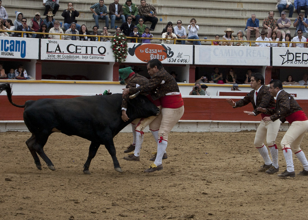 La Comunidad de Madrid pretende introducir festejos taurinos propios de otros países